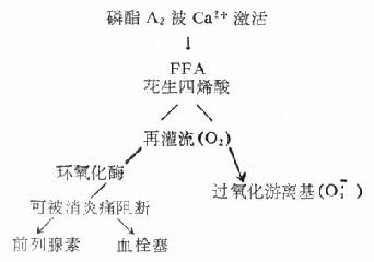 Ca2+A2ʾͼ