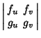 $\displaystyle \left\vert\begin{array}{cc}f_u & f_v\\  g_u & g_v\end{array}\right\vert$